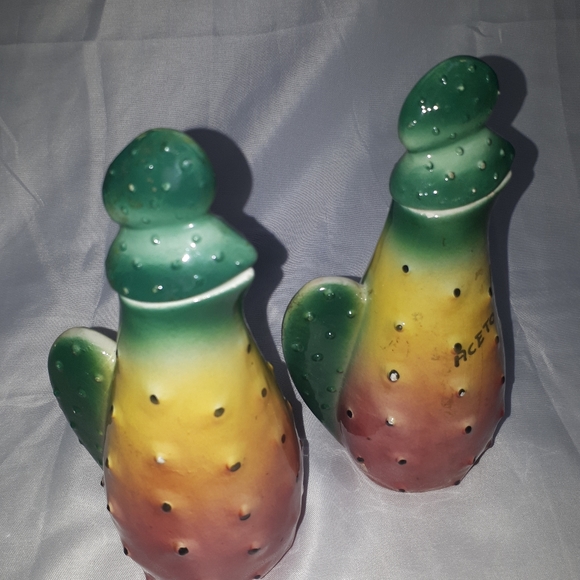 D83:  CACTUS OLIO AND ACETO - Picture 3 of 6